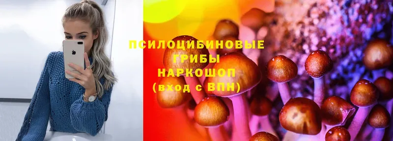 Галлюциногенные грибы Magic Shrooms  Новый Уренгой 